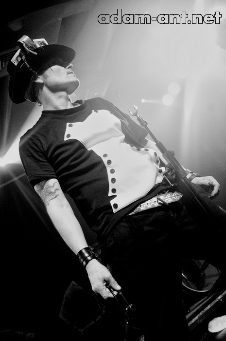 adam ant