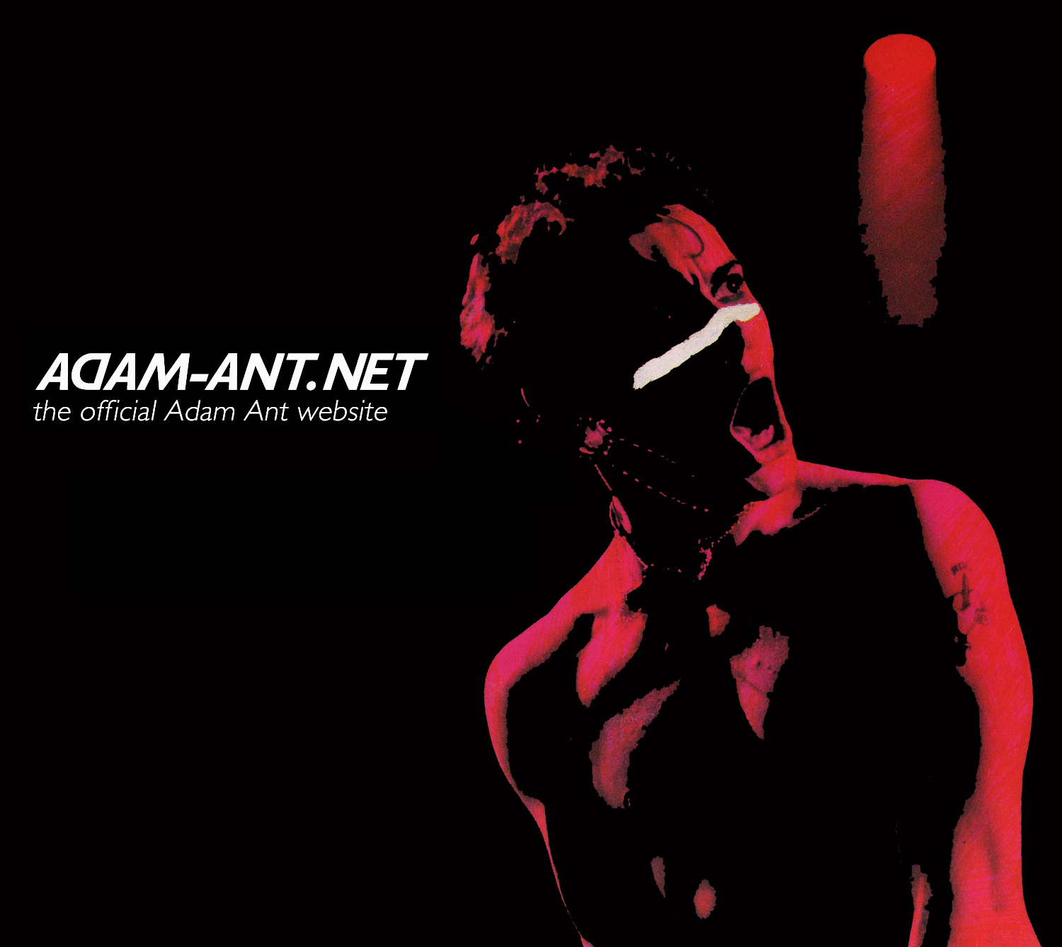 adam-ant.net The Official Adam Ant website