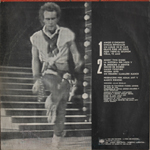 Friend or Foe back sleeve