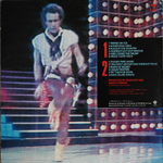 Friend or Foe back sleeve