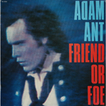 Friend or Foe front sleeve