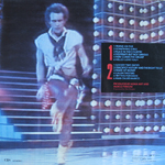 Friend or Foe back sleeve