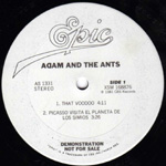 Prince Charming US album sampler promo