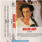 Strip The Netherlands front sleeve