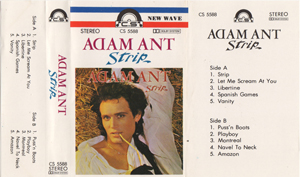 Strip Saudi Arabia front sleeve