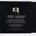 Wonderful sampler back sleeve