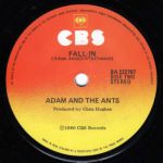 New Zealand Fall in Sunburst