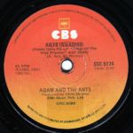 Ants Invasion South Africa