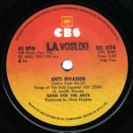 Ants Invasion South Africa