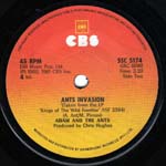 Ants Invasion Zimbabe