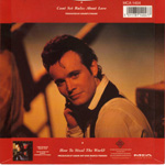 Can't Set Rules About Love back cover